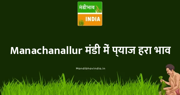 Onion Green भाव